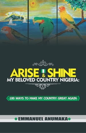 Arise And Shine My Beloved Country Nigeria: 100 Ways To Make My Country Great Again