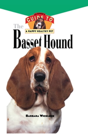 Basset Hound