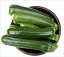 A Crash Course on How to Grow Zucchini