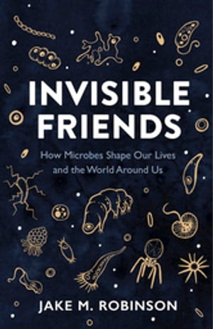 Invisible Friends