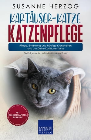 Kartäuser-Katze Katzenpflege - Pflege, Ernährung und häufige Krankheiten rund um Deine Kartäuser-Katze