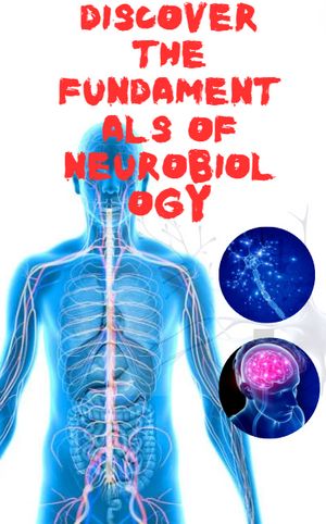 Discover the fundamentals of neurobiology