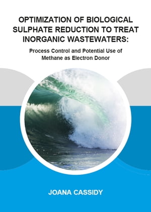 Optimization of Biological Sulphate Reduction to Treat Inorganic Wastewaters