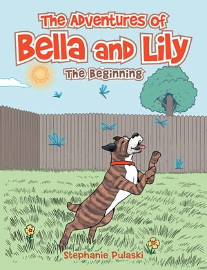 The Adventures of Bella and Lily