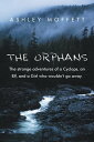 ŷKoboŻҽҥȥ㤨The Orphans The Strange Adventures of a Cyclops, an Elf, and a Girl Who WouldnT Go Away.Żҽҡ[ Ashley Moffett ]פβǤʤ468ߤˤʤޤ