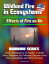 Wildland Fire in Ecosystems: Effects of Fire on Air (Rainbow Series) - Smoke Management, Air Quality, Visibility, Haze, Hazardous Air Pollutants, Emissions from Fires, Atmospheric and Plume Chemistry