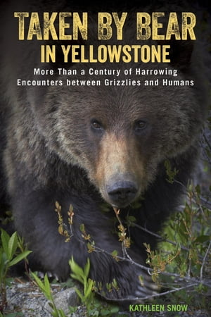 Taken by Bear in Yellowstone A Century of Harrowing Encounters between Grizzlies and Humans