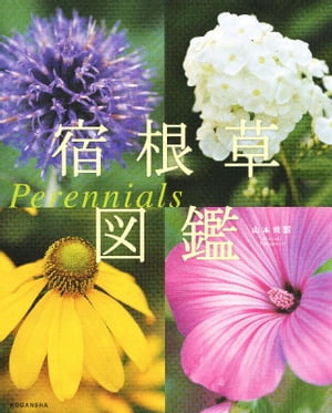 宿根草図鑑　Ｐｅｒｅｎｎｉａｌｓ