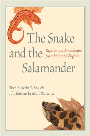 The Snake and the Salamander