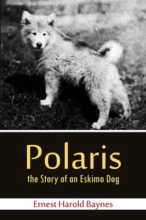 Polaris, the Story of an Eskimo Dog