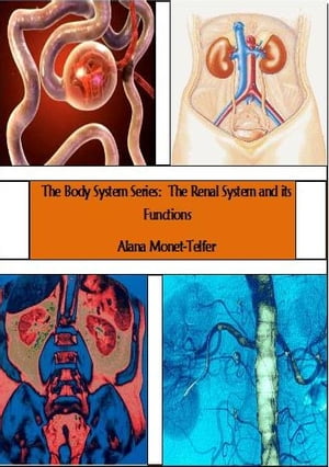 The Body System Series: The Renal System and its Functions