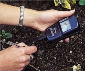 A Crash Course on How to Test Soil pH Level