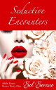 Seductive Encounters (Forbidden Romance, Infidel