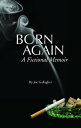 Born Again A Fictional Memoir