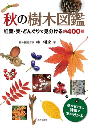 秋の樹木図鑑