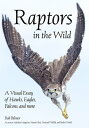 Raptors in the Wild A Visual Essay of Hawks, Eagles, Falcons and More【電子書籍】 Rob Palmer