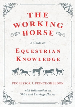 The Working Horse - A Guide on Equestrian Knowledge with Information on Shire and Carriage Horses