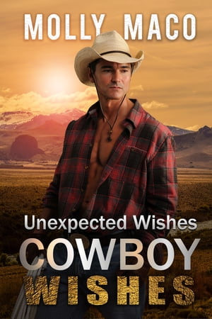 Unexpected Wishes : Western Romance