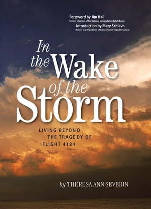 In the Wake of the Storm: Living Beyond the Tragedy of American Eagle Flight 4184