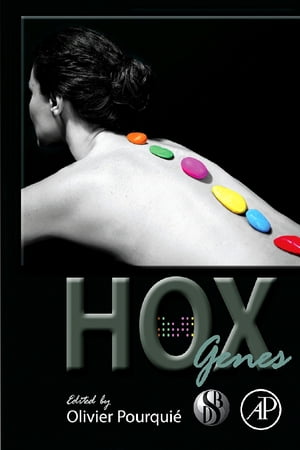 HOX Genes