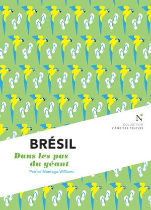 Brésil : Dans les pas du géant