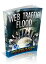 Web Traffic Flood