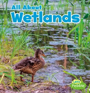 All About Wetlands