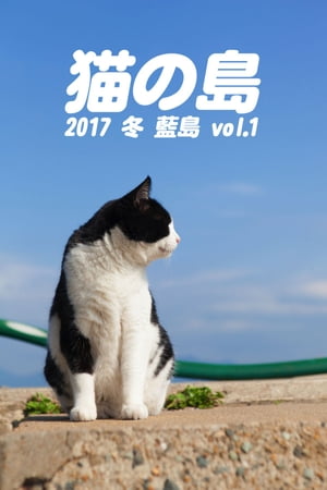 猫の島 2017 冬 藍島 vol.1【電子書籍】[ 平川タケシ ]