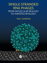 Single-stranded RNA phages From molecular biology to nanotechnology