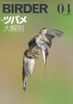 BIRDER2023年4月号【電子書籍】 BIRDER編集部