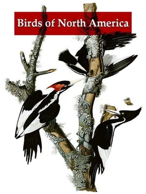 A Synopsis of the Birds of North America