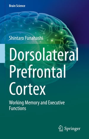 Dorsolateral Prefrontal Cortex