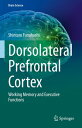 Dorsolateral Prefrontal Cortex Working Memory and Executive Functions