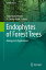 Endophytes of Forest Trees