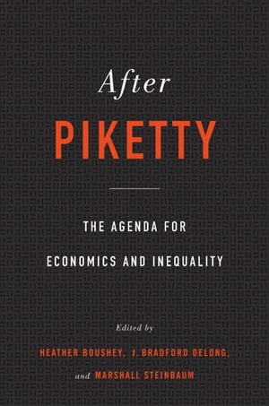 After PikettyŻҽҡ