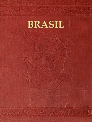 Indice Chronologico dos factos mais notaveis da Historia do Brasil desde seu descobrimento em 1500 ate 1849