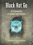 Black Hat Go Go Programming For Hackers and Pentesters【電子書籍】[ Tom Steele ]