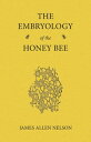 ŷKoboŻҽҥȥ㤨The Embryology of the Honey BeeŻҽҡ[ James Allen Nelson ]פβǤʤ1,122ߤˤʤޤ