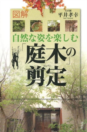 図解　自然な姿を楽しむ「庭木」の剪定