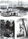 Histoire des bienfaits sant? d'Arcachon Histoire des cures pour les maladies pulmonaires, la bronchite chronique et l'asthme