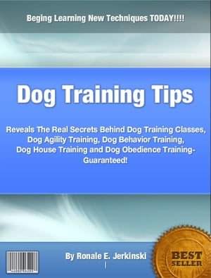 Dog Training Tips