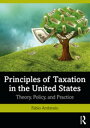 Principles of Taxation in the United States Theory, Policy, and Practice