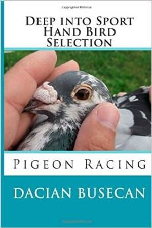 Deep into Sport - Hand Bird Selection