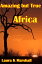Amazing but True: Africa Adventure Book 1