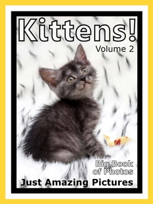 Just Kitten Photos! Big Book of Photographs & Pictures of Baby Cats & Cat Kittens, Vol. 2