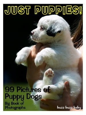 99 Pictures: Just Puppies Photos! Big Book of Puppy Dog Photographs Vol. 1
