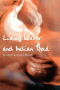 Living Water and Indian Bowl (Revised Edition): An Analysis of Christian Failings in Communicating Christ to Hindus, with Suggestions Towards Improvements