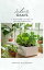 Indoor Oasis: A Beginner's Guide to Indoor GardeningŻҽҡ[ Greyson Blackwood ]