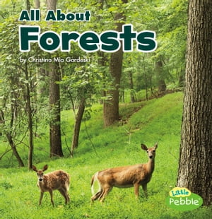 All About Forests