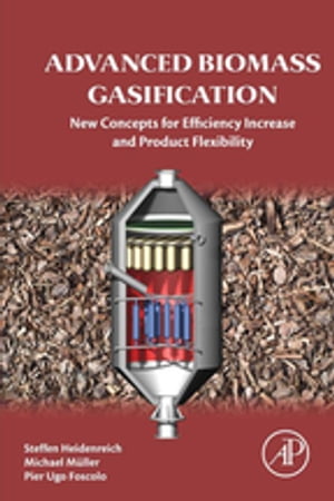 Advanced Biomass Gasification